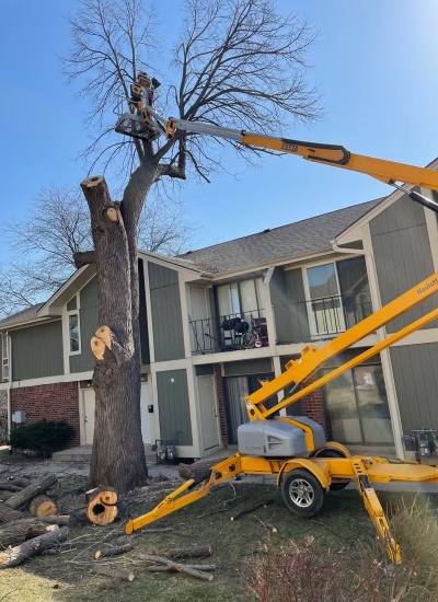 Tree removal in Caledonia, WI.