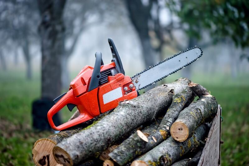 Cj Tree Service - Caldonia 18 Land Lot Clearing Wind Lake