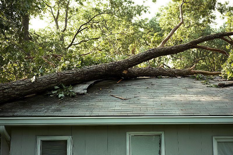Cj Tree Service - Caldonia 15 Storm Damage In Racine, Wi.