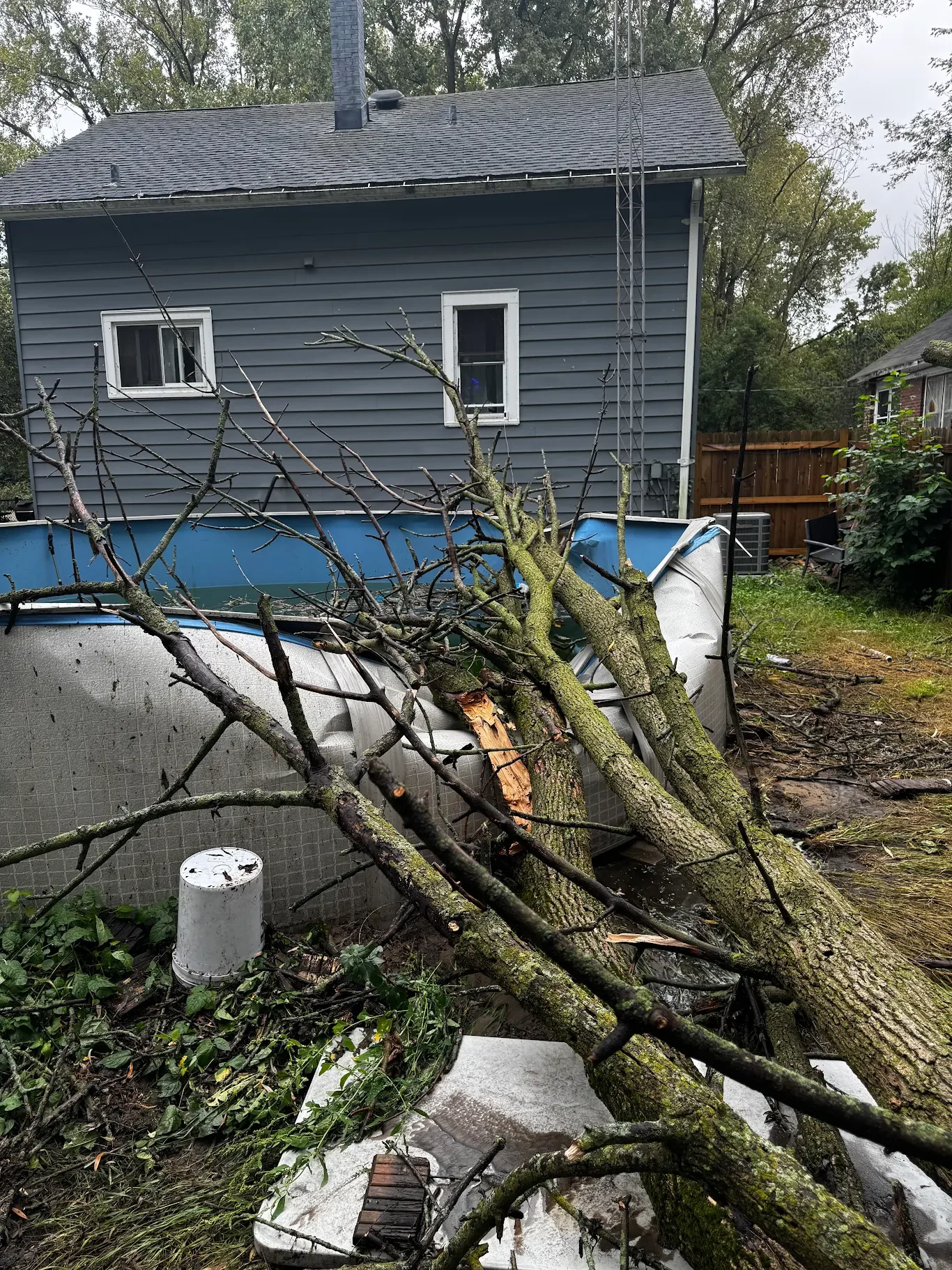 Emergency Tree Services 2