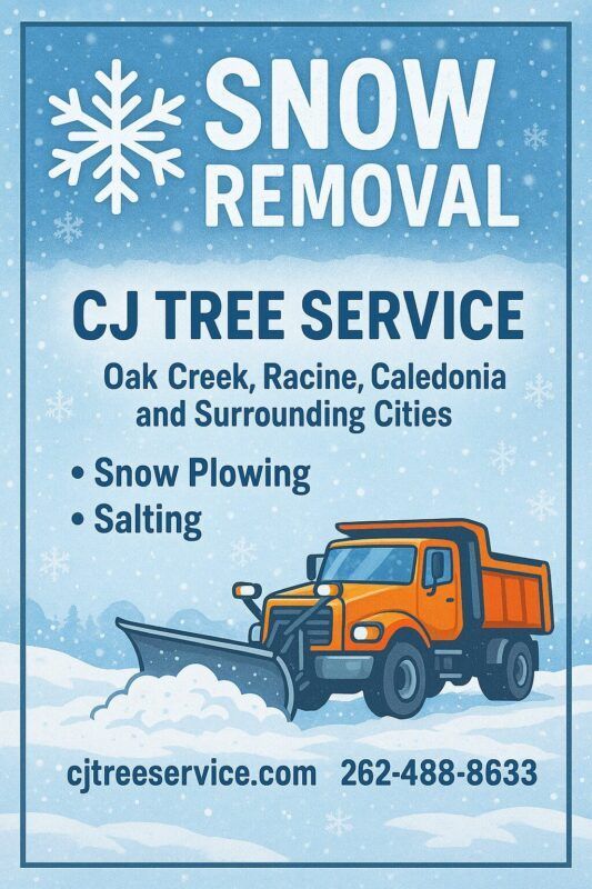 CJ Tree Service_snow service5