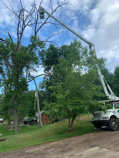 Tree care professional performing stump grinding service in a residential garden