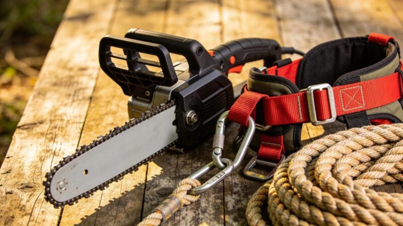 Essential tools for emergency tree removal showcasing costs and complexities of the service